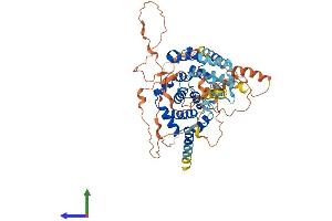 AlphaFold protein structure predicition of Human Recombinant TBC1D3D Protein, UniprotID A0A087WVF3