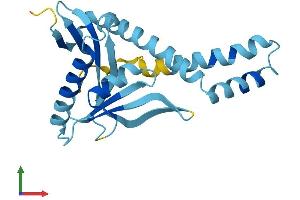 AlphaFold protein structure predicition of Mouse Recombinant Nat14 Protein, UniprotID Q8BVG8