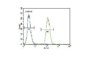 Urokinase (PLAU) Antibody (N-term) (ABIN1882148 and ABIN2842233) flow cytometric analysis of  cells (right histogram) compared to a negative control cell (left histogram). (PLAU anticorps  (N-Term))