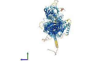 AlphaFold protein structure predicition of Human Recombinant ATP11C Protein, UniprotID Q8NB49