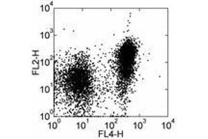 Image no. 1 for anti-Signaling Lymphocytic Activation Molecule Family Member 1 (SLAMF1) antibody (Biotin) (ABIN475810) (SLAMF1 anticorps  (Biotin))