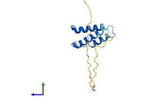 AlphaFold protein structure predicition of Mouse Recombinant Sdhaf1 Protein, UniprotID Q3U276
