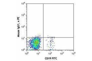Flow Cytometry (FACS) image for anti-Chemokine (C-X-C Motif) Receptor 5 (CXCR5) antibody (PE) (ABIN2662489)