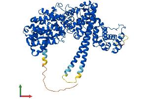 AlphaFold protein structure predicition of Mouse Recombinant Ncbp1 Protein, UniprotID Q3UYV9