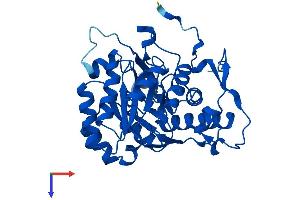 AlphaFold protein structure predicition of Human Recombinant GMPR Protein, UniprotID P36959