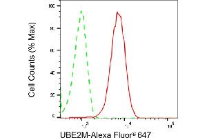 Flow cytometric analysis of UBE2M expression in HepG2 cells using UBE2M antibody (ABIN7800750), 1:2,000). (Recombinant UBE2M anticorps)