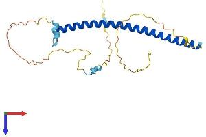 AlphaFold protein structure predicition of Mouse Recombinant Gmnn Protein, UniprotID O88513