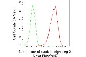 Flow cytometric analysis of Suppressor of cytokine signaling 2 expression in HAP-1 cells using Suppressor of cytokine signaling 2 antibody (ABIN7800465), 1:2,000). (Recombinant SOCS2 anticorps)