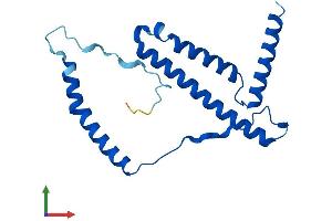 AlphaFold protein structure predicition of Mouse Recombinant Ndufb10 Protein, UniprotID Q9DCS9