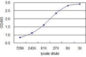 Standard curve using 293T overexpression lysate (non-denatured) as an analyte.