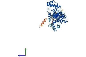 AlphaFold protein structure predicition of Mouse Recombinant Nt5c1a Protein, UniprotID A3KFX0
