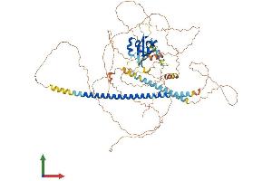 AlphaFold protein structure predicition of Human Recombinant PASD1 Protein, UniprotID Q8IV76