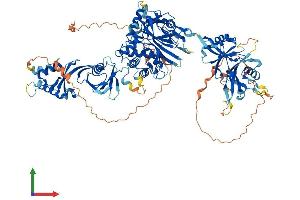 AlphaFold protein structure predicition of Human Recombinant USP11 Protein, UniprotID P51784