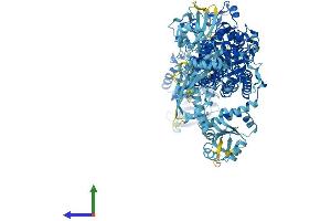 AlphaFold protein structure predicition of Mouse Recombinant Iars1 Protein, UniprotID Q8BU30