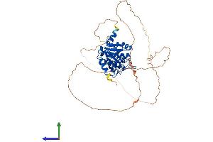 AlphaFold protein structure predicition of Mouse Recombinant Macrod2 Protein, UniprotID Q3UYG8