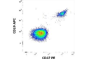Flow cytometry multicolor surface staining of human gated lymphocytes stained using anti-human CD37 (MB-1) PE antibody (10 μL reagent / 100 μL of peripheral whole blood) and anti-human CD19 (LT19) APC antibody (10 μL reagent / 100 μL of peripheral whole blood).