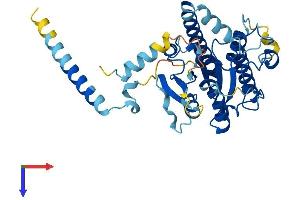 AlphaFold protein structure predicition of Mouse Recombinant Dync2li1 Protein, UniprotID Q8K0T2