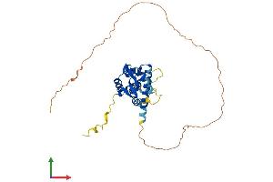 AlphaFold protein structure predicition of Human Recombinant MAGEA3 Protein, UniprotID P43357