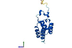 AlphaFold protein structure predicition of Mouse Recombinant Polr2d Protein, UniprotID Q9D7M8