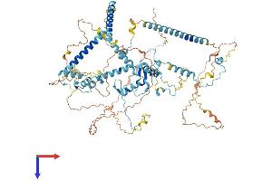 AlphaFold protein structure predicition of Human Recombinant SART1 Protein, UniprotID O43290