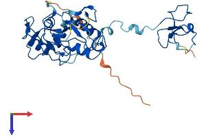 AlphaFold protein structure predicition of Mouse Recombinant Phf7 Protein, UniprotID Q9DAG9