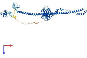 AlphaFold protein structure predicition of Human Recombinant TRIM69 Protein, UniprotID Q86WT6