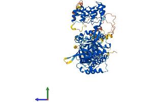 AlphaFold protein structure predicition of Mouse Recombinant Krit1 Protein, UniprotID Q6S5J6