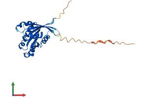 AlphaFold protein structure predicition of Mouse Recombinant Rab6b Protein, UniprotID P61294