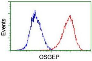 Flow cytometric Analysis of Hela cells, using anti-OSGEP antibody (ABIN2454648), (Red), compared to a nonspecific negative control antibody, (Blue). (OSGEP anticorps  (AA 1-335))