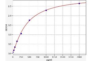 Interleukin 37 (IL37) ELISA Kit