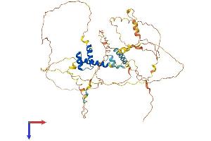 AlphaFold protein structure predicition of Mouse Recombinant Arx Protein, UniprotID O35085