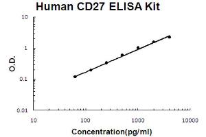 Human TNFRSF7/CD27 Accusignal ELISA Kit Human TNFRSF7/CD27 AccuSignal ELISA Kit standard curve. (CD27 Kit ELISA)