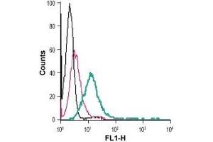 anti-Adhesion G Protein-Coupled Receptor G1 (ADGRG1) (AA 86-109), (Extracellular) antibody (FITC)