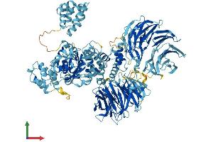 AlphaFold protein structure predicition of Human Recombinant APAF1 Protein, UniprotID O14727