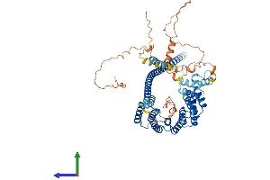 AlphaFold protein structure predicition of Human Recombinant KLC2 Protein, UniprotID Q9H0B6