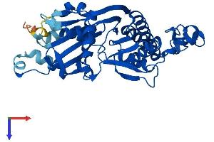 AlphaFold protein structure predicition of Mouse Recombinant Pank3 Protein, UniprotID Q8R2W9