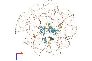 AlphaFold protein structure predicition of Human Recombinant GLI3 Protein, UniprotID P10071