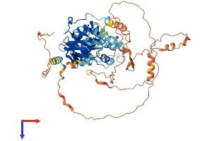 AlphaFold protein structure predicition of Mouse Recombinant Mapk4 Protein, UniprotID Q6P5G0