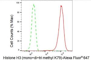 Flow cytometric analysis of Histone H3 (mono+di+tri methyl K79) expression in HepG2 cells using Histone H3 (mono+di+tri methyl K79) antibody (ABIN7798965), 1:2,000).