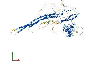 AlphaFold protein structure predicition of Mouse Recombinant Srgap1 Protein, UniprotID Q91Z69