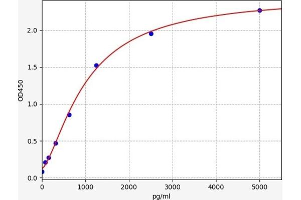CNDP1 Kit ELISA