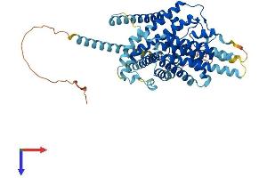 AlphaFold protein structure predicition of Mouse Recombinant Soat2 Protein, UniprotID O88908
