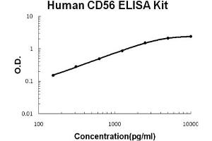 Human CD56/NCAM-1 Accusignal ELISA Kit Human CD56/NCAM-1 AccuSignal ELISA Kit standard curve. (CD56 Kit ELISA)
