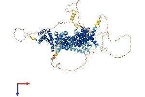 AlphaFold protein structure predicition of Mouse Recombinant Eif4g2 Protein, UniprotID Q62448