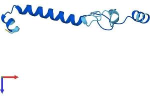 AlphaFold protein structure predicition of Human Recombinant NMES1 Protein, UniprotID Q9C002