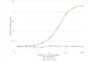 anti-Flavivirus Group Antigen antibody