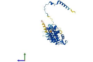 AlphaFold protein structure predicition of Mouse Recombinant Brf2 Protein, UniprotID Q3UAW9