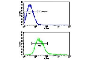 Flow cytometric analysis of CEM cells using ADAM17 polyclonal antibody (bottom histogram) compared to a negative control cell (top histogram). (ADAM17 anticorps  (N-Term))