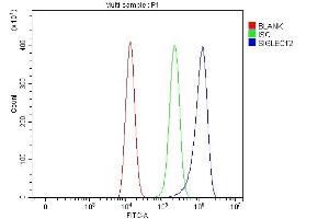 Flow Cytometry analysis of HEL cells using anti-SIGLEC12 antibody (ABIN7601259).