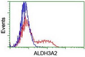 HEK293T cells transfected with either RC200648 overexpress plasmid (Red) or empty vector control plasmid (Blue) were immunostained by anti-ALDH3A2 antibody (ABIN2454836), and then analyzed by flow cytometry. (ALDH3A2 anticorps)